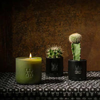 WOO Sustainable Scented Lucky Candle |  Upcycled Wine Bottle | 60 Hr Burn Time
