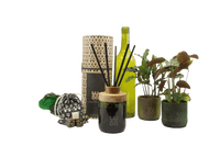 WOO Reed Diffuser Gift Box