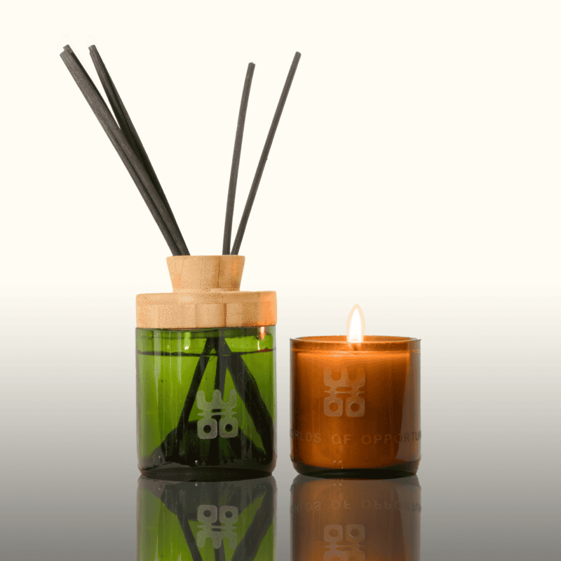 Beer Bottle candle + Wine Bottle diffusor set